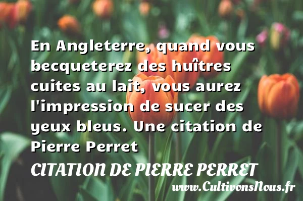 En Angleterre - Citation de Pierre Perret