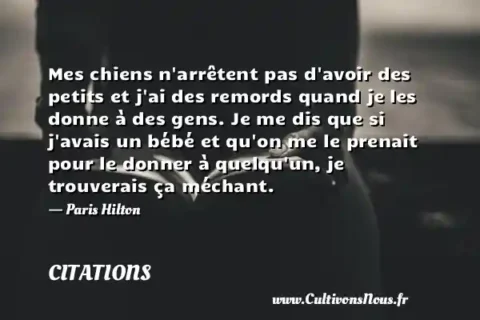 Mes chiens n arrêtent pas d avoir des petits et j ai des remords quand je les donne à des gens. Je me dis que si j avais un bébé et qu on me le prenait pour le donner à quelqu un, je trouverais ça méchant. - Paris Hilton CITATIONS