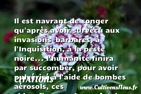 Il est navrant de songer - Citations - Citations Antoine de Caunes