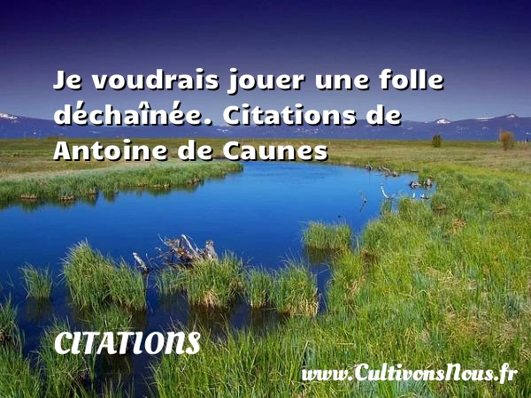 Je voudrais jouer - Citations - Citations Antoine de Caunes - Citation jouer