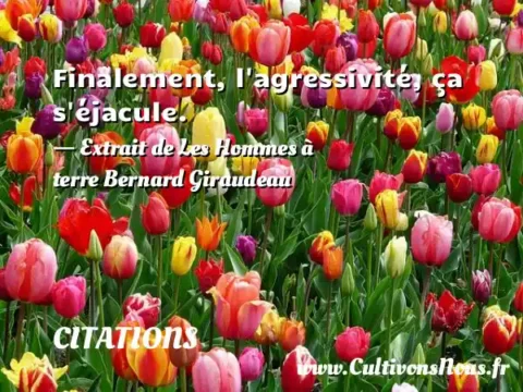 Finalement, l agressivité, ça s éjacule. - Extrait de Les Hommes à terre Bernard Giraudeau CITATIONS