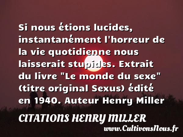 Si nous étions lucides - Citations Henry Miller - Citation stupide