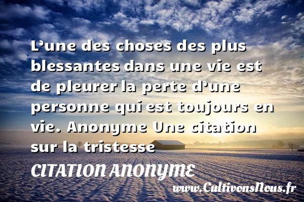 L’une des choses des - Citation anonyme - citation tristesse
