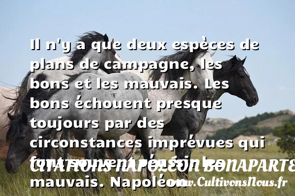 Il n’y a que deux espèces de plans de campagne - Citations Napoléon Bonaparte - Citation campagne