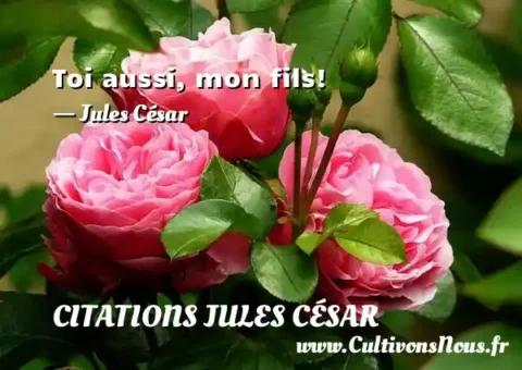 Toi aussi, mon fils! - Jules César CITATIONS JULES CÉSAR