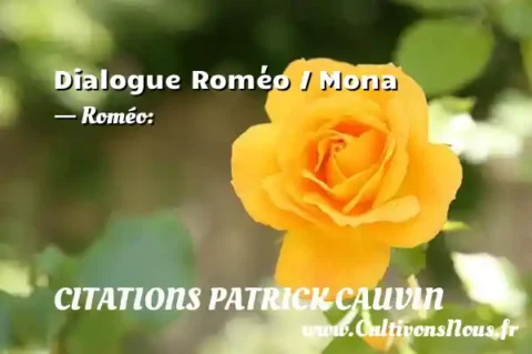 Dialogue Roméo / Mona - Roméo: CITATIONS PATRICK CAUVIN