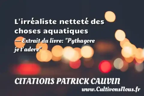 L irréaliste netteté des choses aquatiques - Extrait du livre:  Pythagore je t adore  CITATIONS PATRICK CAUVIN