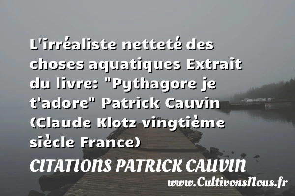 l’irréaliste netteté - Citations Patrick Cauvin