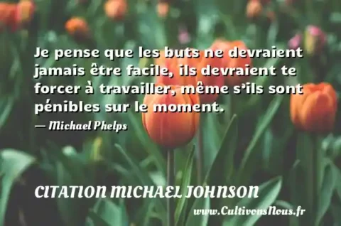 Je pense que les buts ne devraient jamais être facile, ils devraient te forcer à travailler, même s’ils sont pénibles sur le moment. - Michael Phelps CITATION MICHAEL JOHNSON