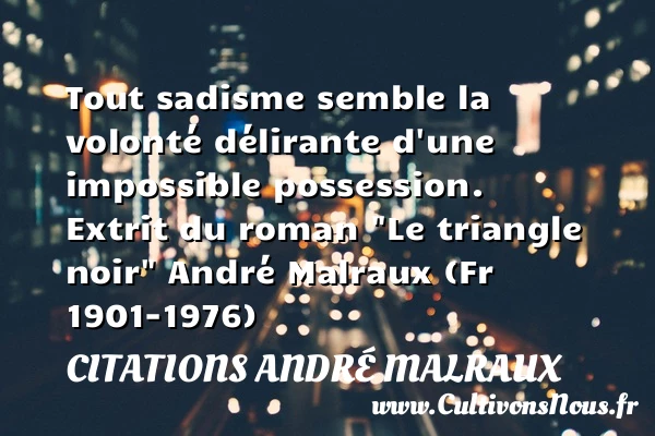 Tout sadisme semble la volonté - Citations André Malraux - Citation volonté