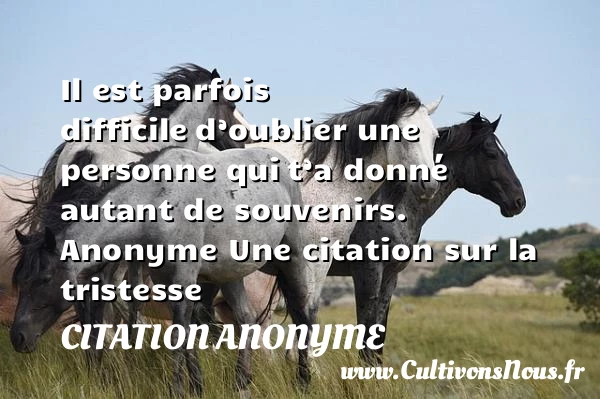 Il est parfois difficile d’oublier - Citation anonyme - citation tristesse