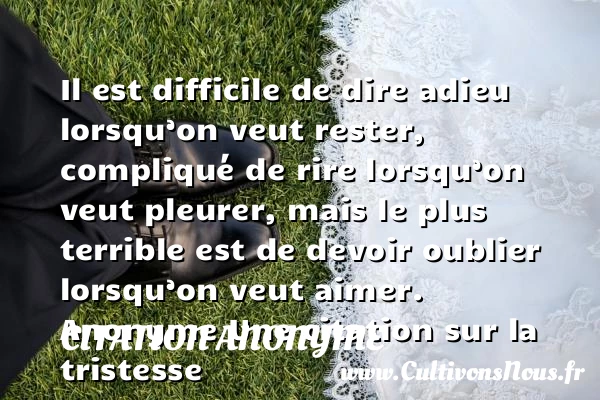 Il est difficile de dire - Citation anonyme - citation tristesse