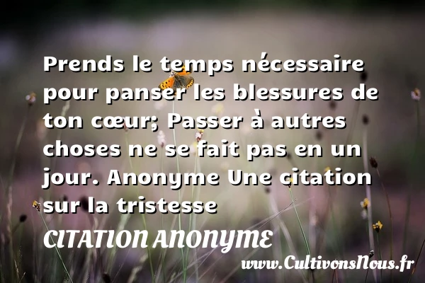 Prends le temps nécessaire pour - Citation anonyme - citation tristesse
