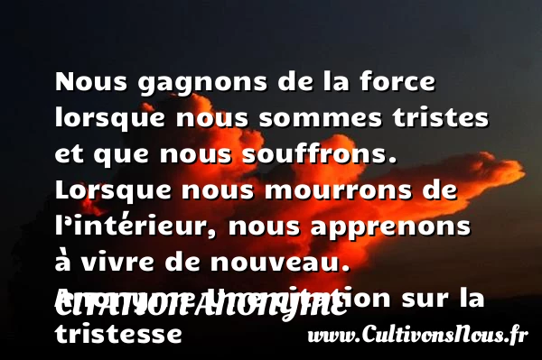 Nous gagnons de la force lorsque - Citation anonyme - citation tristesse