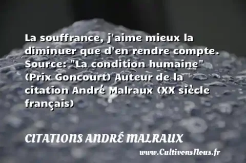 La souffrance, j aime mieux la diminuer que d en rendre compte. Source:  La condition humaine  (Prix Goncourt) Auteur de la citation André Malraux (XX siècle français)   CITATIONS ANDRÉ MALRAUX