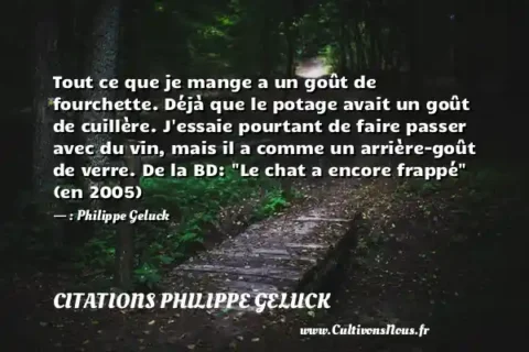 Tout ce que je mange a un goût de fourchette. Déjà que le potage avait un goût de cuillère. J essaie pourtant de faire passer avec du vin, mais il a comme un arrière-goût de verre. De la BD:  Le chat a encore frappé  (en 2005)   - : Philippe Geluck CITATIONS PHILIPPE GELUCK
