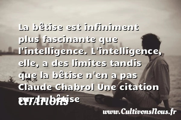 La bêtise - Citations - Citations Claude Chabrol - Citation bétise