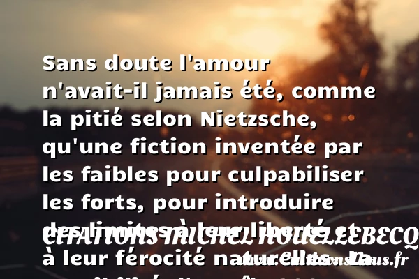 Sans doute l’amour - Citations Michel Houellebecq