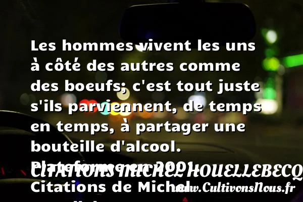 Les hommes vivent - Citations Michel Houellebecq - Citation alcool