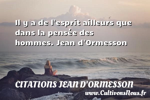 Il y a de l’esprit - Citations Jean d'Ormesson
