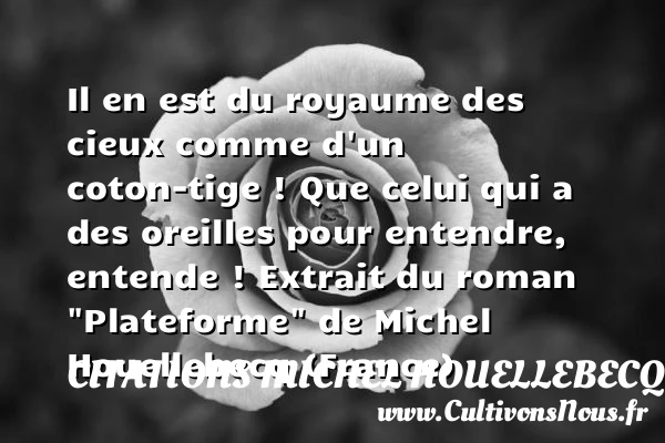 Il en est du royaume - Citations Michel Houellebecq