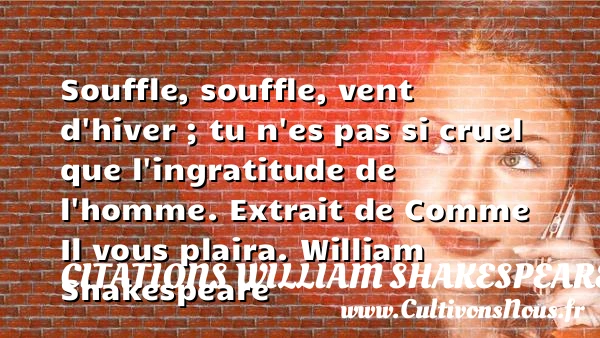 Souffle, souffle, vent d’hiver ; tu - Citations William Shakespeare - Citation gratitude