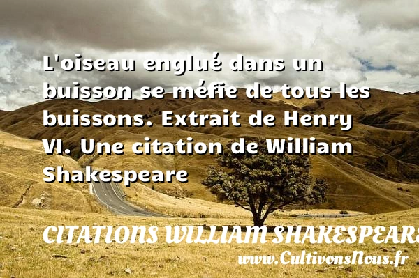 L’oiseau englué dans un buisson se - Citations William Shakespeare - Citation oiseau