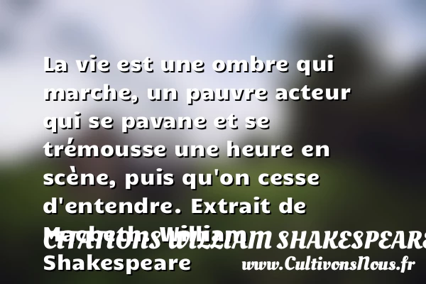 La vie est une ombre qui marche, un - Citations William Shakespeare - Citation ombre