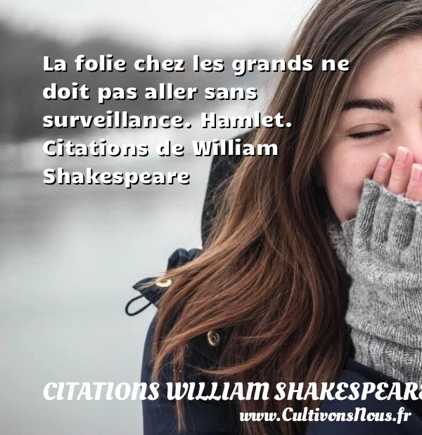 … la folie chez les grands ne doit - Citations William Shakespeare - Citation folie