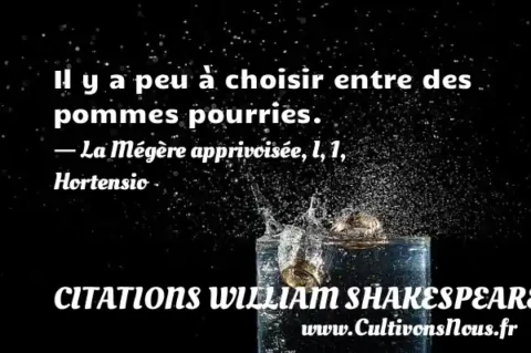 Il y a peu à choisir entre des pommes pourries. - La Mégère apprivoisée, I, 1, Hortensio CITATIONS WILLIAM SHAKESPEARE