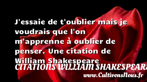 J’essaie de t’oublier mais je voudrais - Citations William Shakespeare - Citation oublier