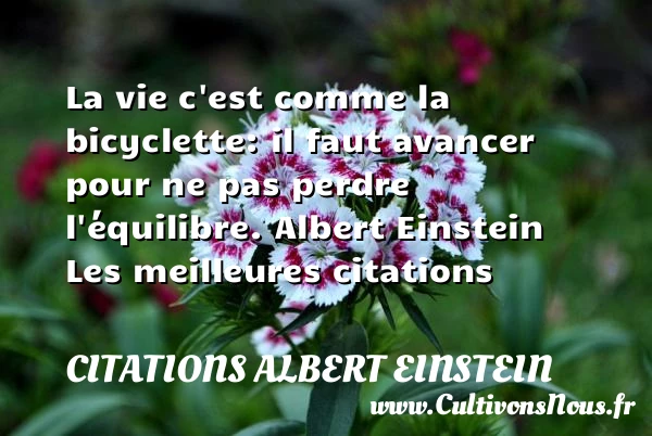 La vie c’est comme - Citations Albert Einstein - Citation perdre - les meilleures citations