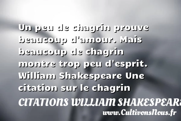 Un peu de chagrin prouve beaucoup - Citations William Shakespeare - Citation chagrin