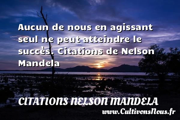 Aucun de nous en agissant seul ne peut - Citations Nelson Mandela