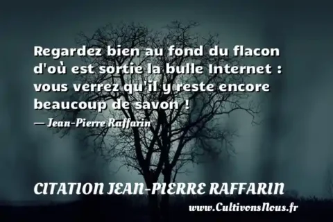 Regardez bien au fond du flacon d où est sortie la bulle Internet : vous verrez qu il y reste encore beaucoup de savon ! - Jean-Pierre Raffarin CITATION JEAN-PIERRE RAFFARIN