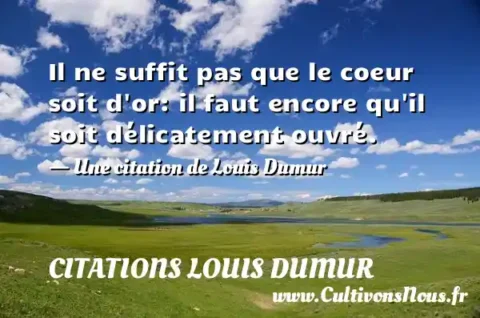 Il ne suffit pas que le coeur soit d or: il faut encore qu il soit délicatement ouvré. - Une citation de Louis Dumur CITATIONS LOUIS DUMUR