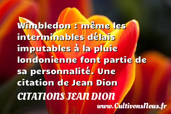 Wimbledon : même les interminables délais imputables à la pluie londonienne font partie - Citations Jean Dion