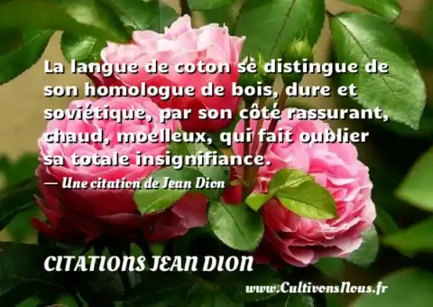 La langue de coton se distingue de son homologue de bois, dure et soviétique, par son côté rassurant, chaud, moelleux, qui fait oublier sa totale insignifiance. - Une citation de Jean Dion CITATIONS JEAN DION