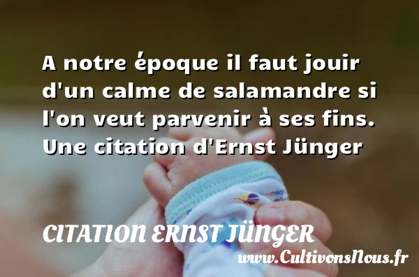A notre époque il faut jouir d’un calme de salamandre si l’on veut - Citation Ernst Jünger