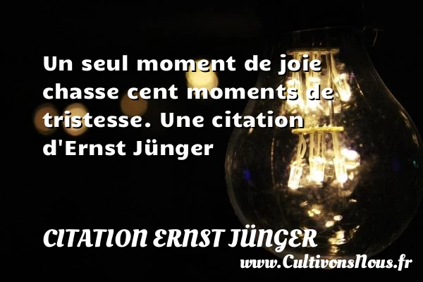 Un seul moment de joie chasse cent moments de - Citation Ernst Jünger