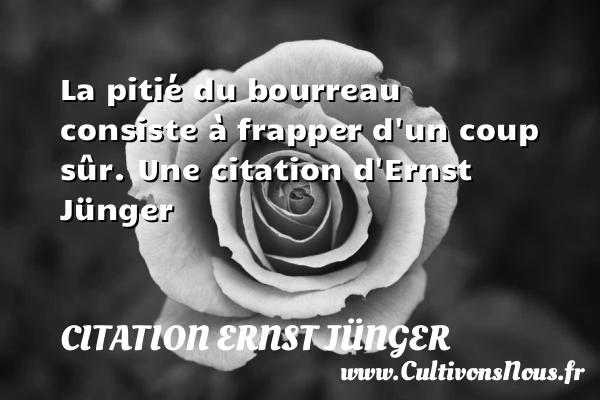 La pitié du bourreau consiste à frapper d’un coup - Citation Ernst Jünger