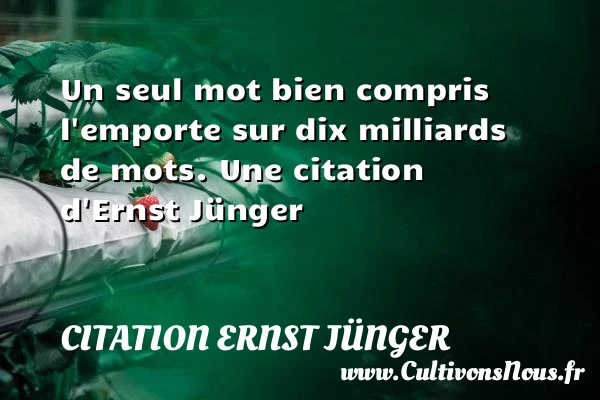 Un seul mot bien compris l’emporte sur dix milliards - Citation Ernst Jünger