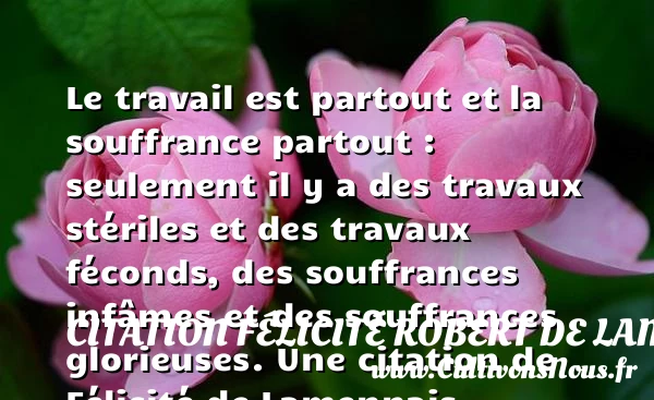 Le travail est partout et la souffrance partout - Citation Félicité Robert de Lamennais