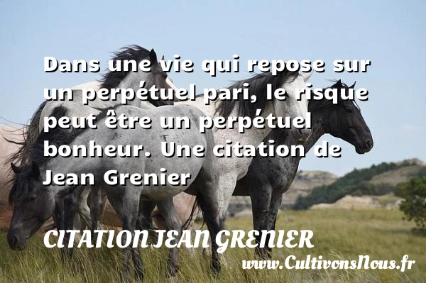 Dans une vie qui repose sur un perpétuel pari, le risque peut être un - Citation Jean Grenier - Citation risque