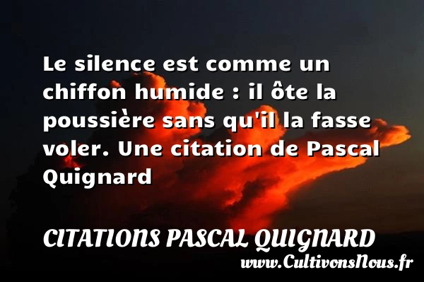 Le silence est comme un chiffon humide : il ôte la poussière - Citations Pascal Quignard - Citation silence