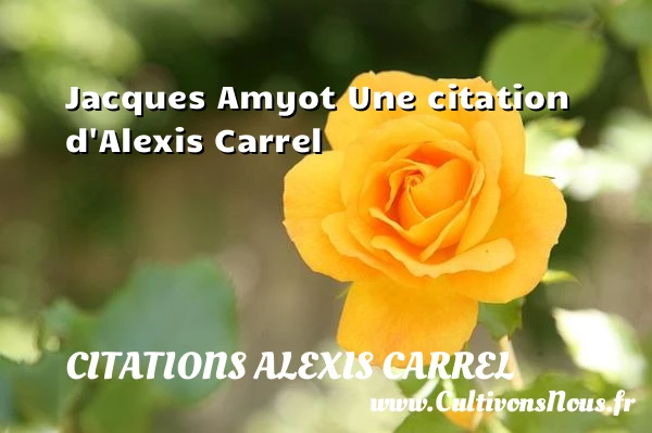 Jacques Amyot - Citations Alexis Carrel