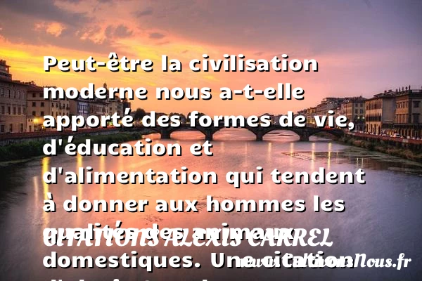 Peut-être la civilisation moderne nous a-t-elle apporté des formes de vie, d’éducation - Citations Alexis Carrel - Citation animaux