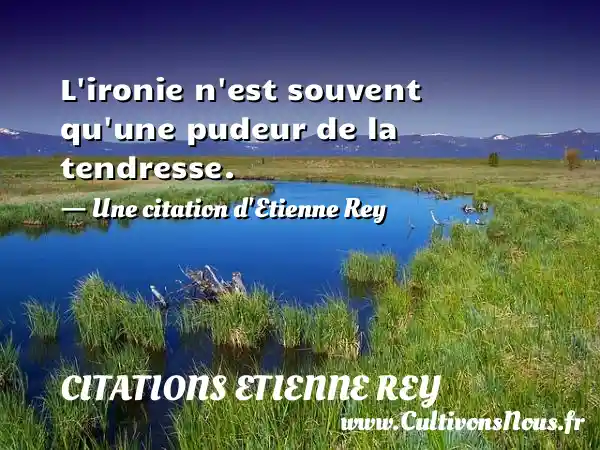 L’ironie n’est souvent qu’une pudeur de la tendresse. - Citations Etienne Rey - Citation tendresse