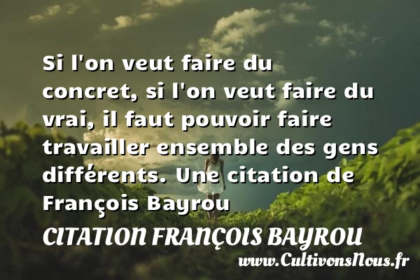 Si l’on veut faire du concret, si l’on veut faire du vrai, - Citation François Bayrou
