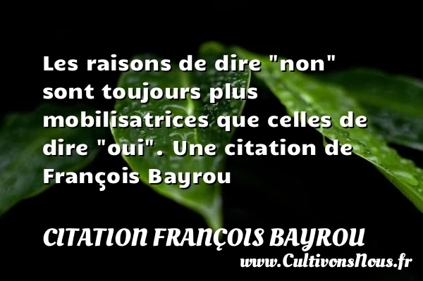 Les raisons de dire "non" sont toujours plus mobilisatrices que celles de dire - Citation François Bayrou